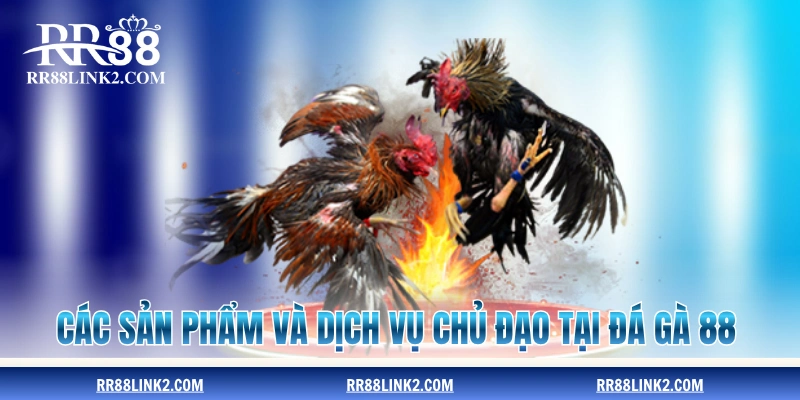 Các sản phẩm và dịch vụ chủ đạo tại Đá Gà 88