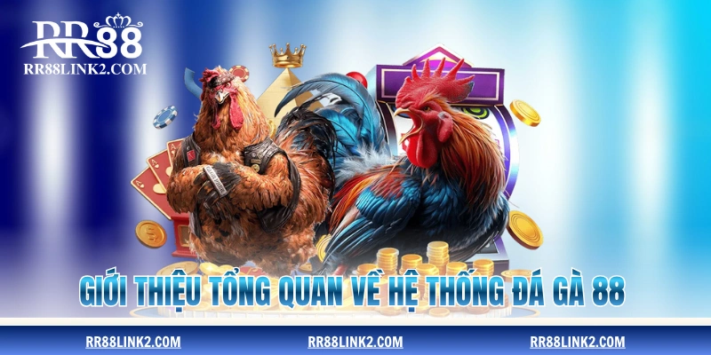 Giới thiệu tổng quan về sân chơi Đá Gà 88