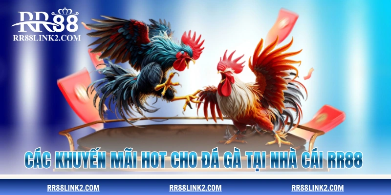 Các khuyến mãi hot cho đá gà tại nhà cái RR88