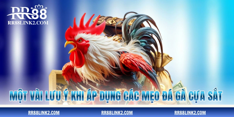 Một vài lưu ý khi áp dụng các mẹo đá gà cựa sắt